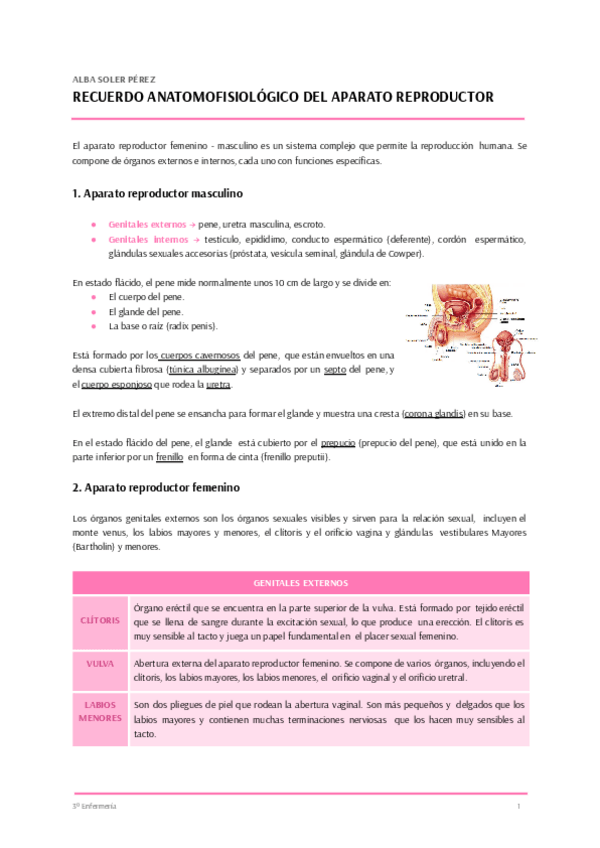 Miniatura del documento T.2-CUIDADOS-MUJER.pdf
