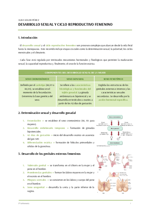 Miniatura del documento T.3-CUIDADOS-MUJER.pdf