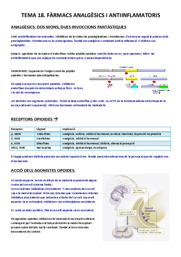 Miniatura del documento TEMA 18..pdf