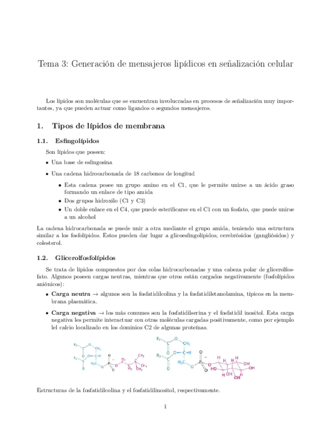 Miniatura del documento Tema-03-Generacion-de-mensajeros-lipidicos-en-senalizacion-celular.pdf