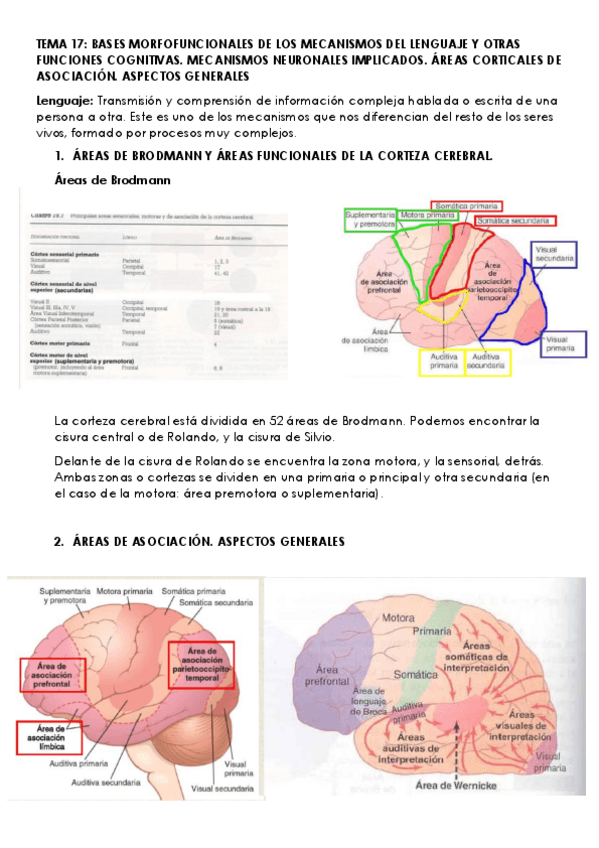 Miniatura del documento TEMA-17.pdf