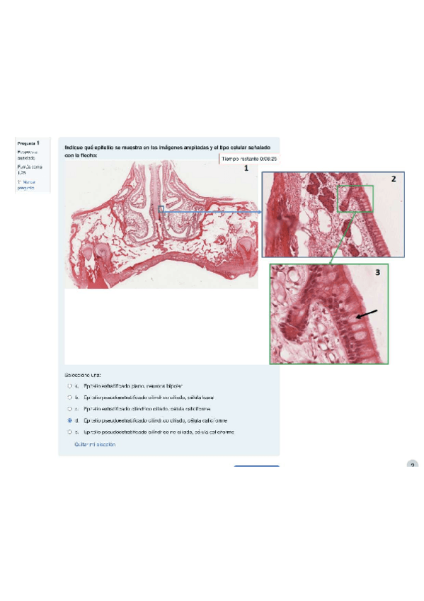 Miniatura del documento TEST-HISTOLOGIA.pdf