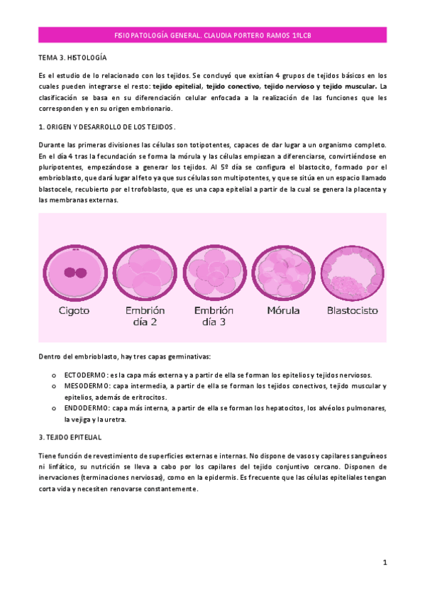 Miniatura del documento HISTOLOGIA.pdf