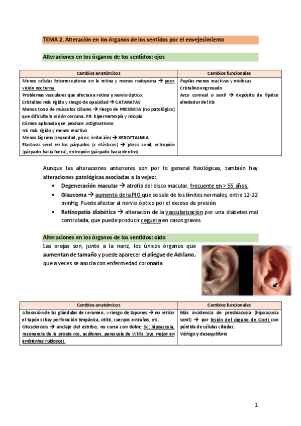 Miniatura del documento TEMA-2.2.-OrganosSentidos.pdf