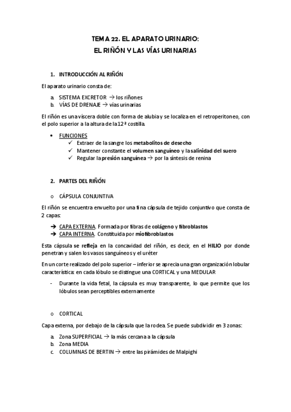 Miniatura del documento TEMA-22.-EL-RINON-Y-LAS-VIAS-URINARIAS.pdf