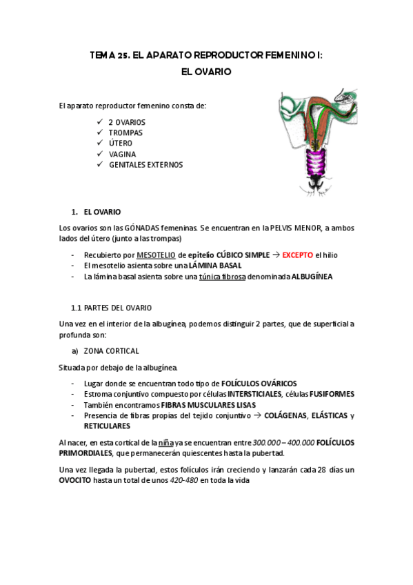 Miniatura del documento TEMA-25.-EL-OVARIO.pdf