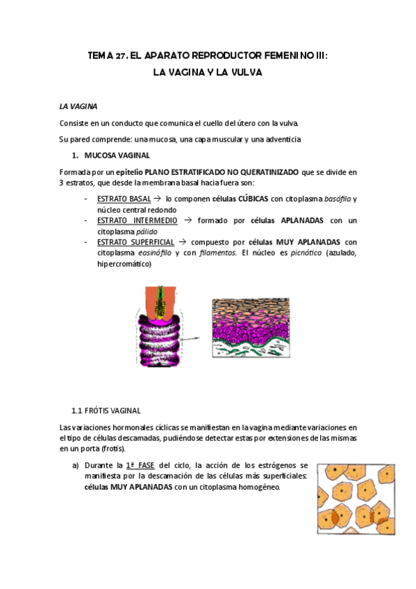 Miniatura del documento TEMA-27.-LA-VAGINA-Y-LA-VULVA.pdf