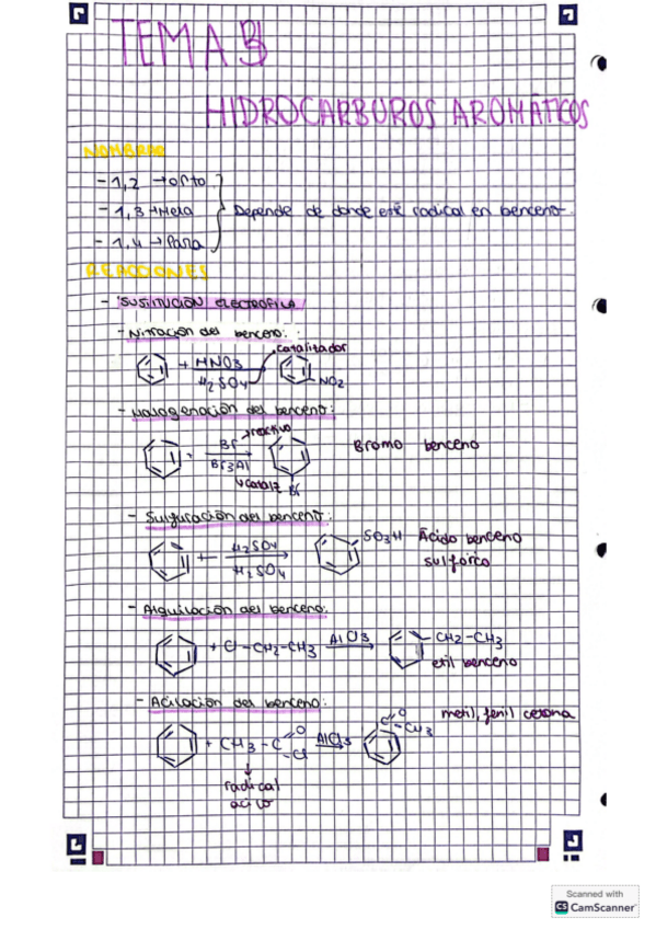 Miniatura del documento Tema-3.-Hidrocarburos-aromaticos.pdf