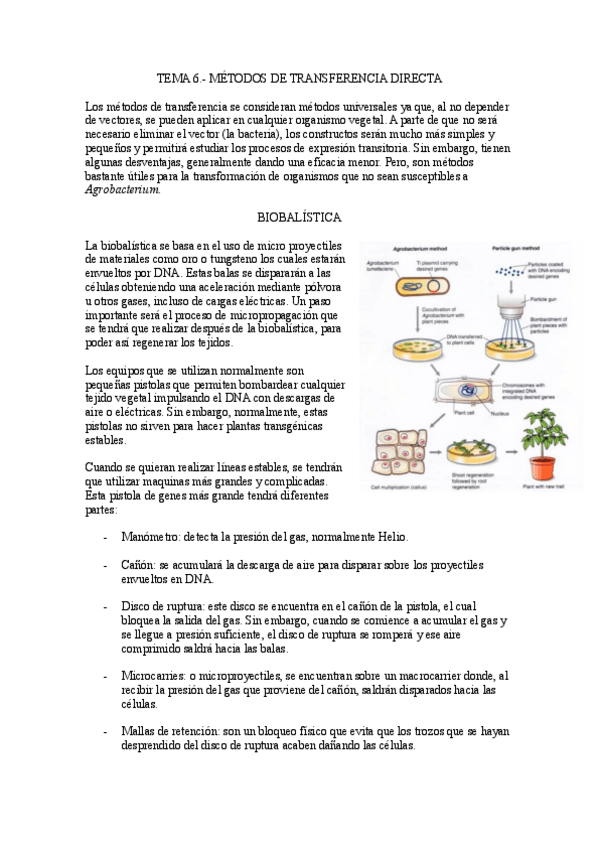Miniatura del documento Tema-6.-Metodos-de-transferencia-directa.pdf