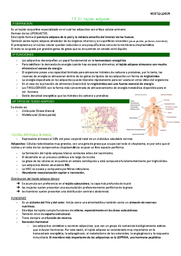 Miniatura del documento T7-Histologia.pdf