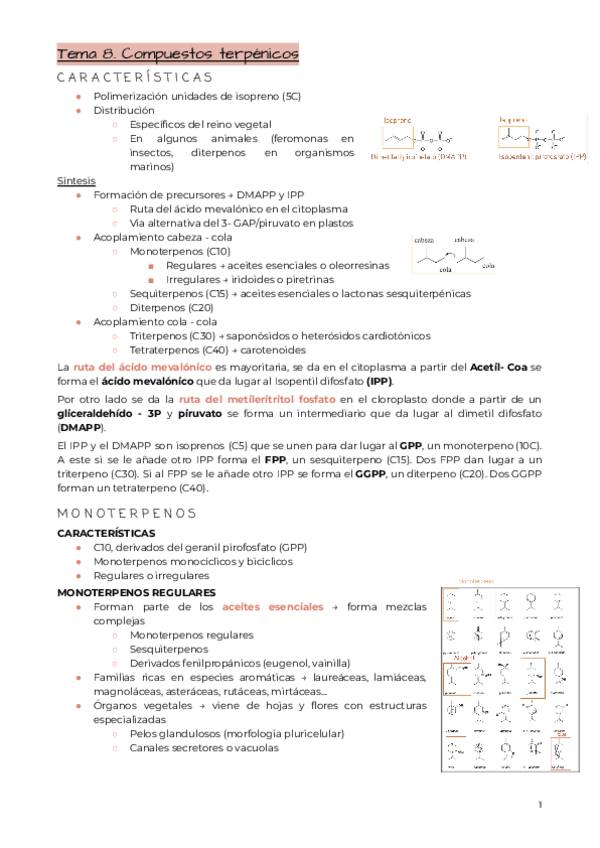 Miniatura del documento Tema-8.-Compuestos-terpenicos.pdf