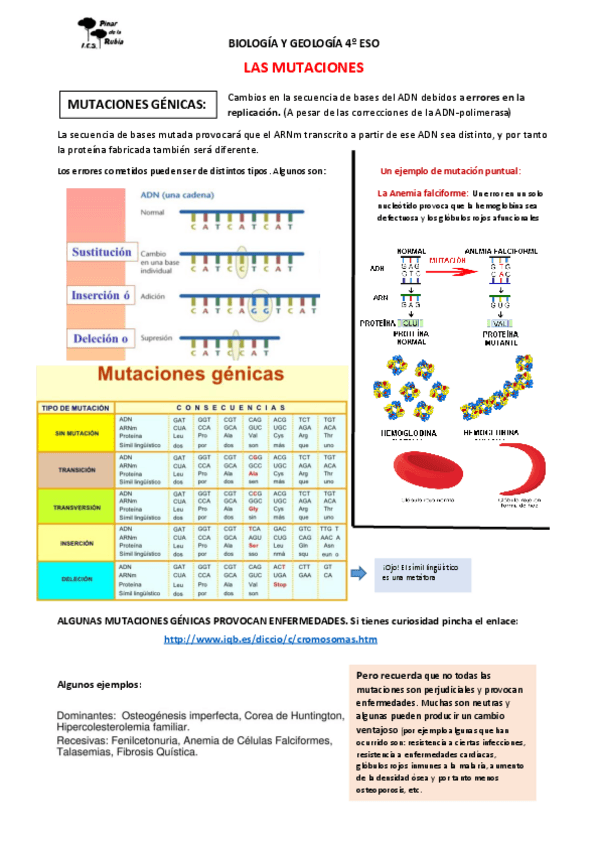 Miniatura del documento LAS-MUTACIONES-4Ao-ESO.pdf