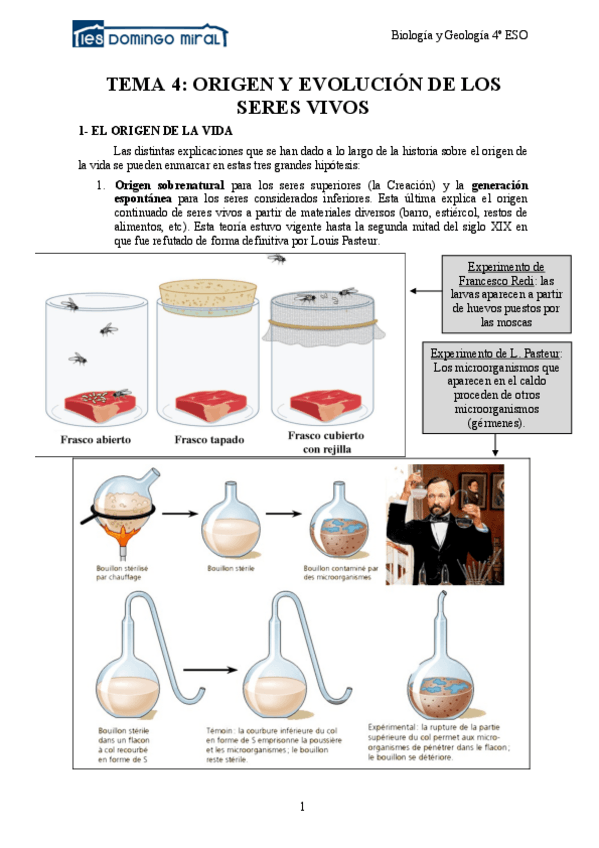 Miniatura del documento 4Tema-4-Origen-y-evolucion-de-los-seres-vivos.pdf