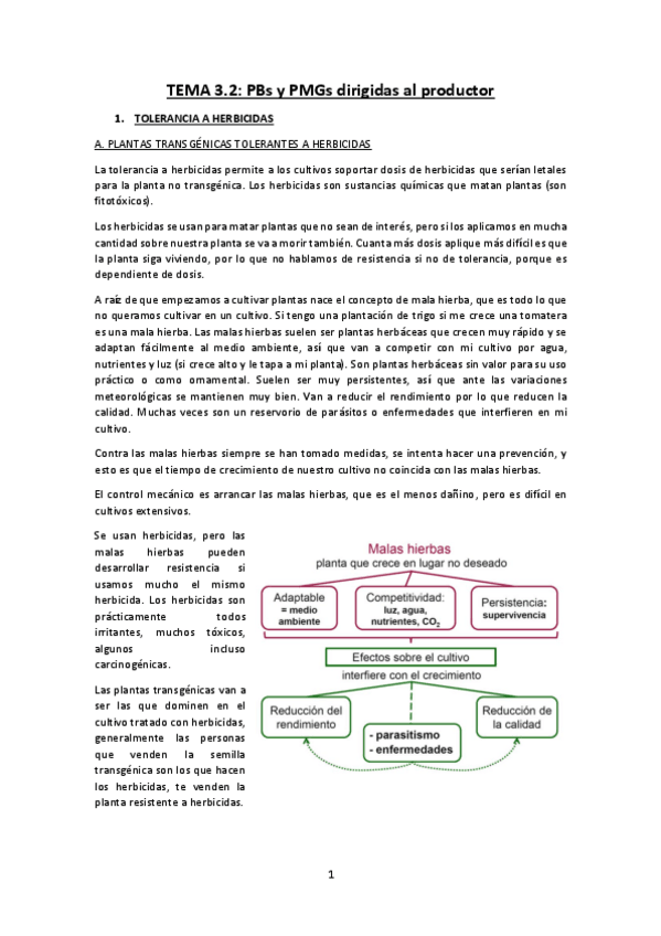 Miniatura del documento APUNTES-Tema-3.2-PBs-y-PMGs-dirigidas-al-productor-apuntes.pdf