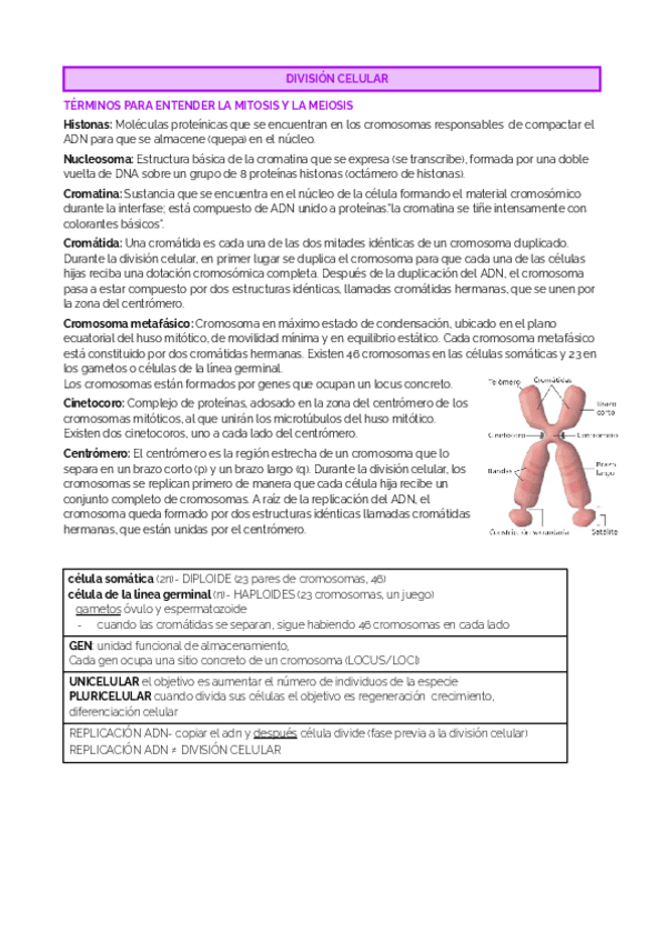Miniatura del documento DIVISION-CELULAR.pdf