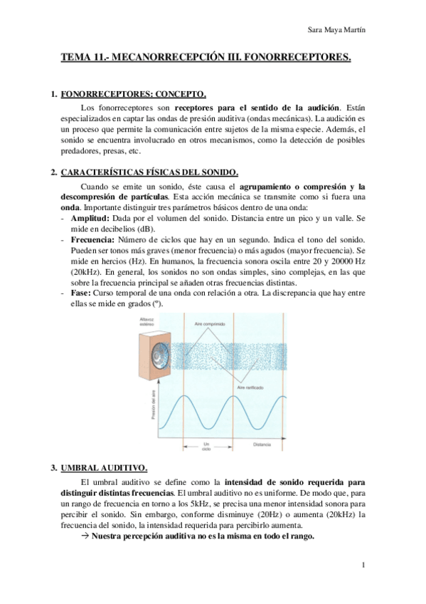 Miniatura del documento TEMA 11.- MECANORRECEPCIÓN III. FONORRECEPTORES..pdf