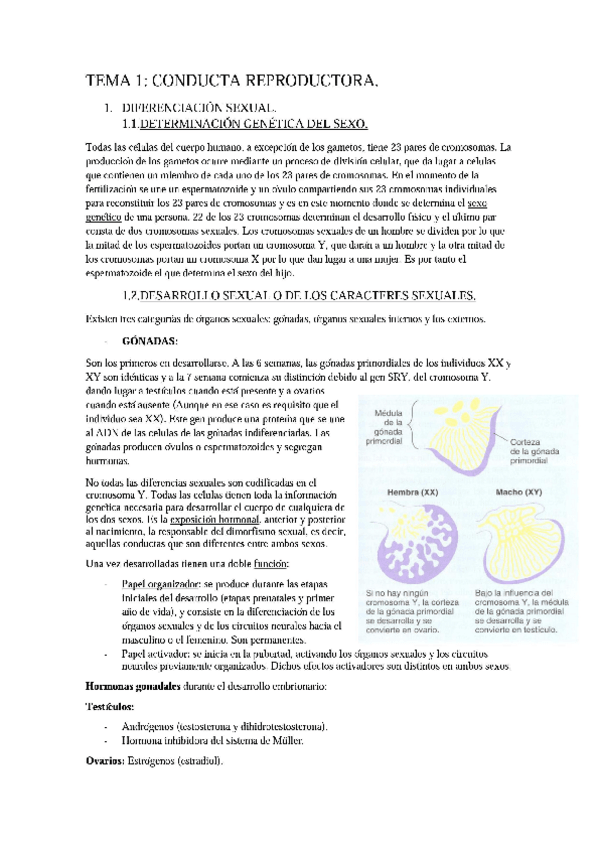 Miniatura del documento Tema 1 - Conducta Reproductora.pdf