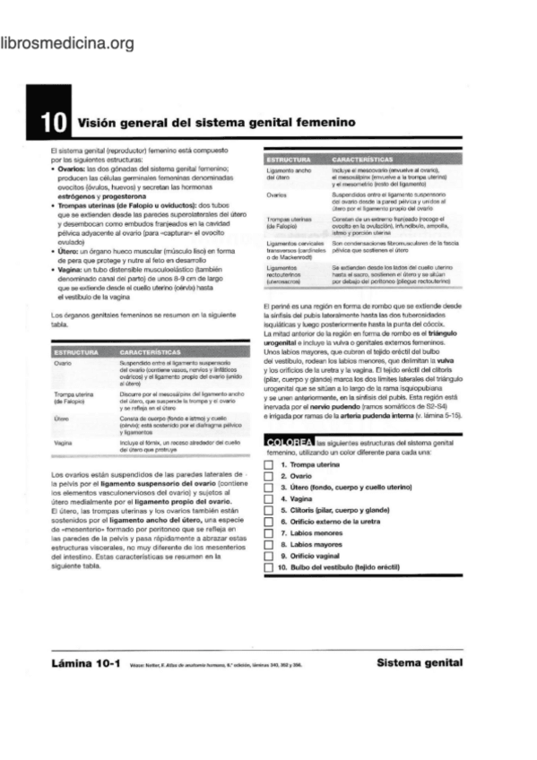 Miniatura del documento LAMINAS-B6-REPRODUCTOR.pdf