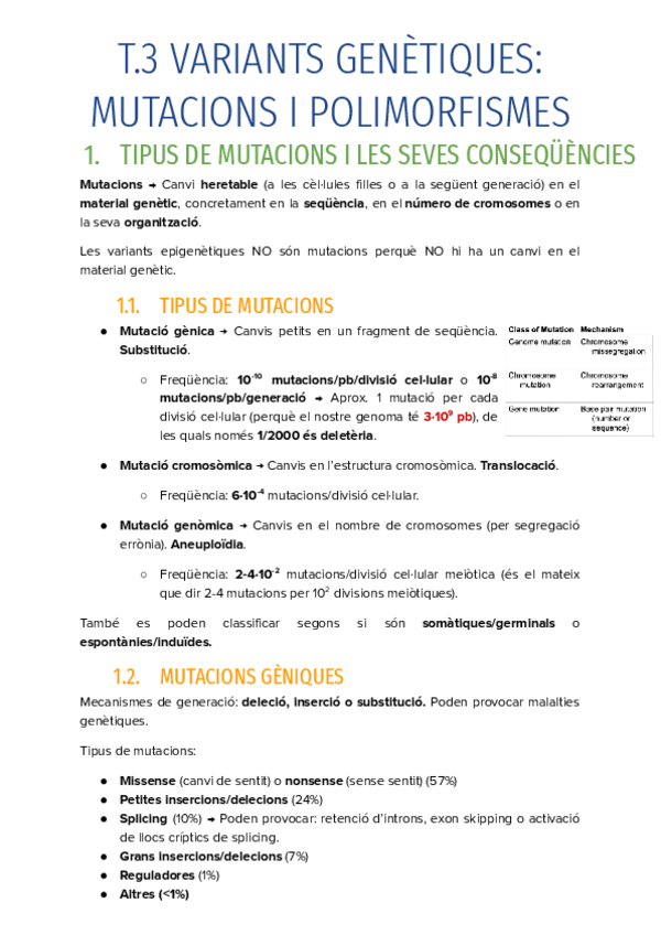 Miniatura del documento T.3-VARIANTS-GENETIQUES-MUTACIONS-I-POLIMORFISMES-EN-PROCES.pdf