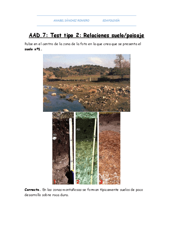 Miniatura del documento AAD 7 AUTOEVALUABLE.pdf