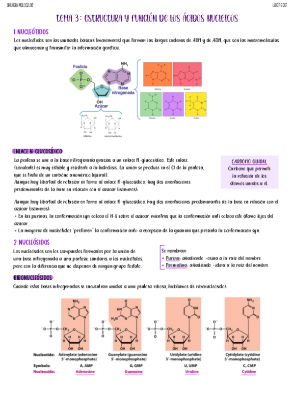 Miniatura del documento tema-3-biologia-molecular.pdf