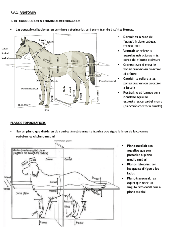Miniatura del documento R.A.1.ATV.pdf