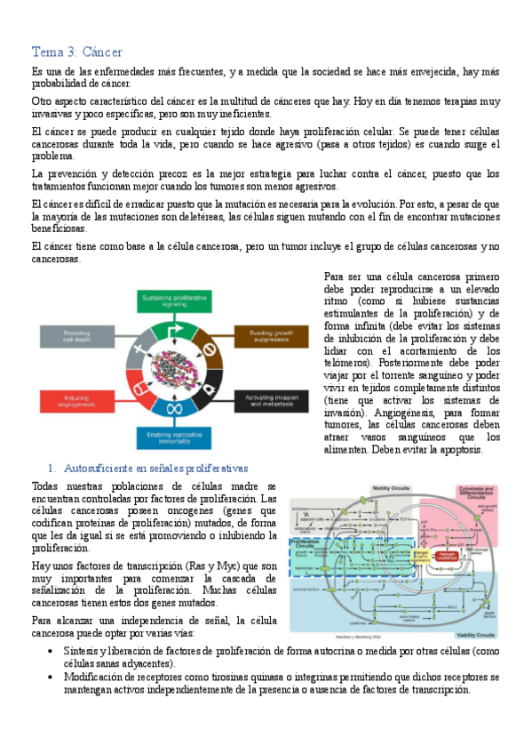 Miniatura del documento Tema-3.pdf
