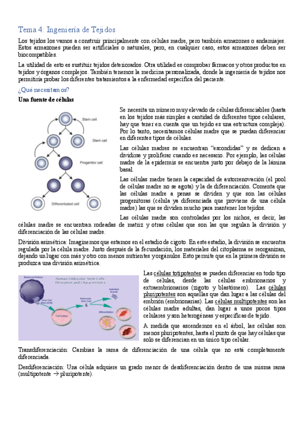 Miniatura del documento Tema-4.pdf