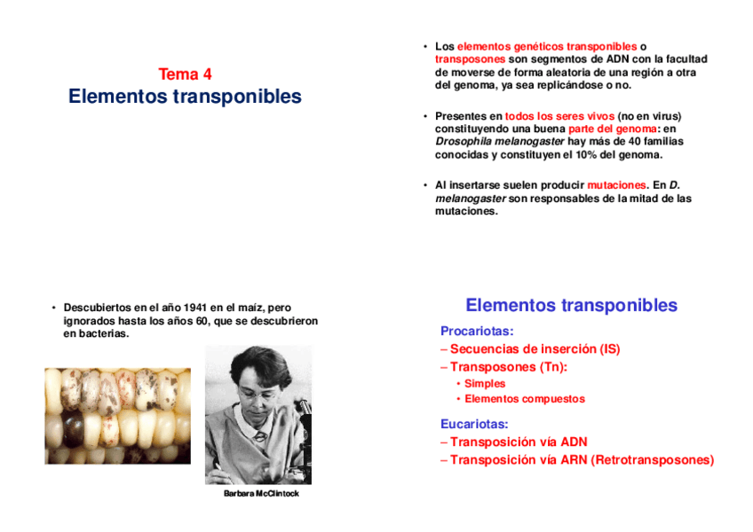 Miniatura del documento imprimir-TEMA-4Transposones.pdf