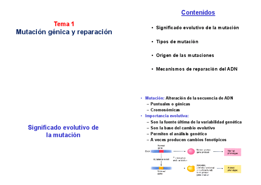 Miniatura del documento imprimir-TEMA-1Mutacionyreparacion.pdf