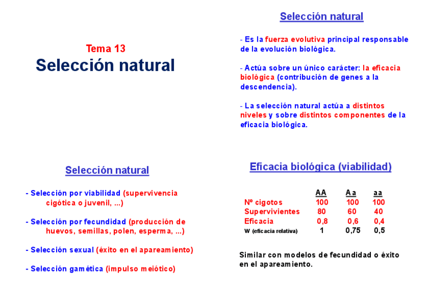 Miniatura del documento imprimir-TEMA-13Seleccionnatural.pdf