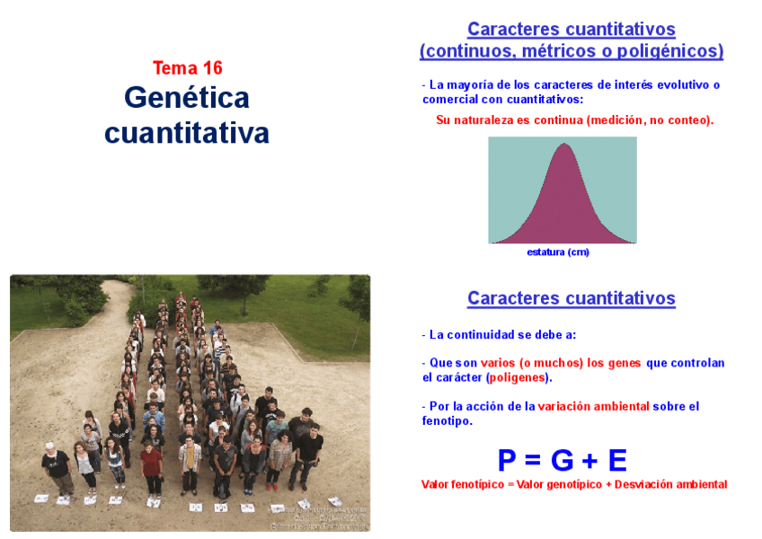 Miniatura del documento imprimir-TEMA-16Geneticacuantitativa.pdf