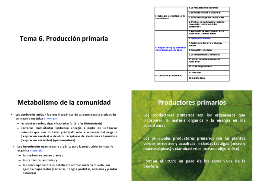 Miniatura del documento Imprimir-tema-6-presentacion.pdf