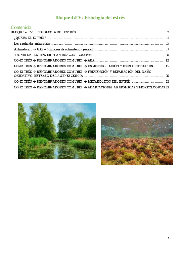 Miniatura del documento Bloque-4.-Fisiologia-del-estres.pdf