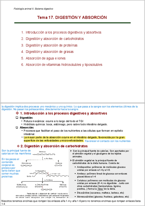 Miniatura del documento TEMA-17.-DIGESTION-Y-ABSORCION.pdf