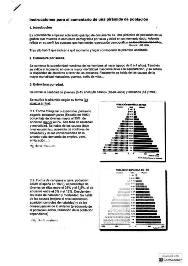 Miniatura del documento INSTRUCCIONES-Y-EJEMPLO-PIRAMIDE-POBLACI.pdf