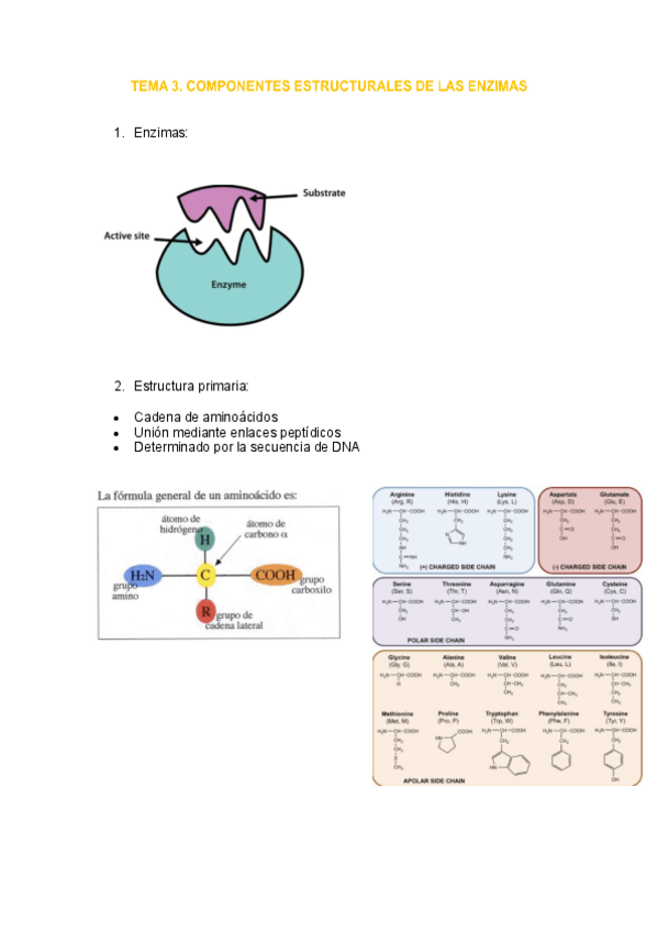Miniatura del documento tema-3-enzimo.pdf