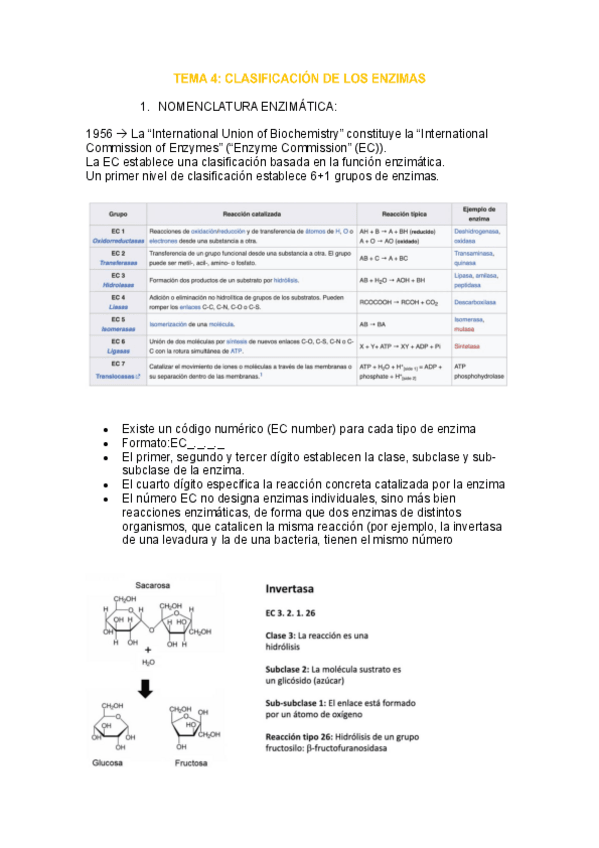 Miniatura del documento tema-4-enzimo.pdf