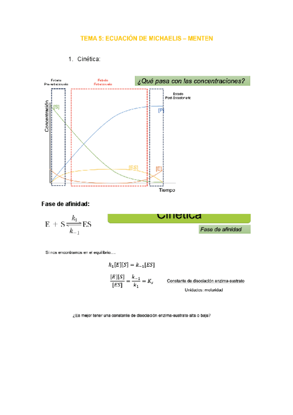 Miniatura del documento tema-5-enzimo.pdf