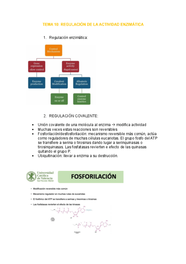 Miniatura del documento tema-10-enzimo.pdf