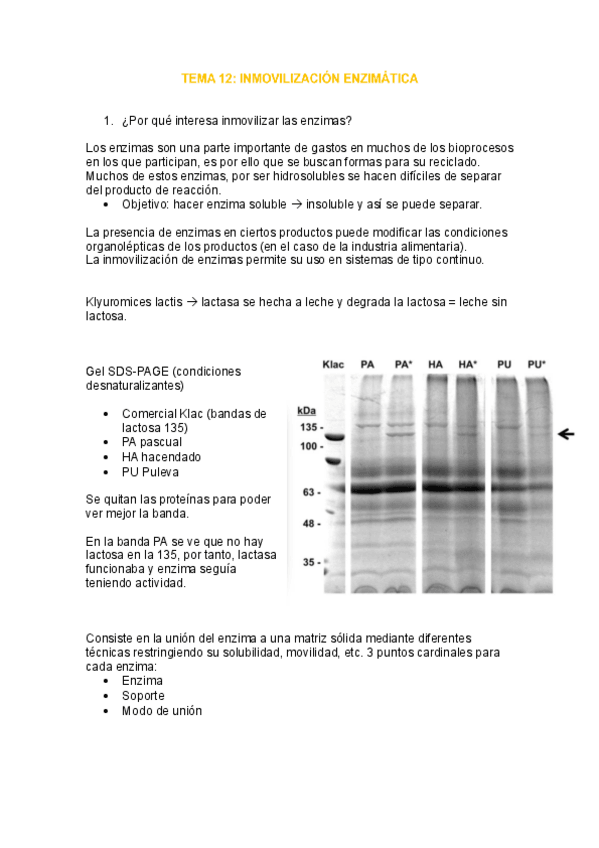 Miniatura del documento tema-12-enzimo.pdf