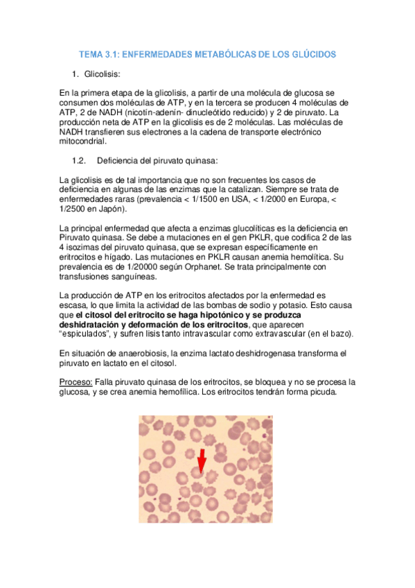 Miniatura del documento tema-3.1-patologia.pdf