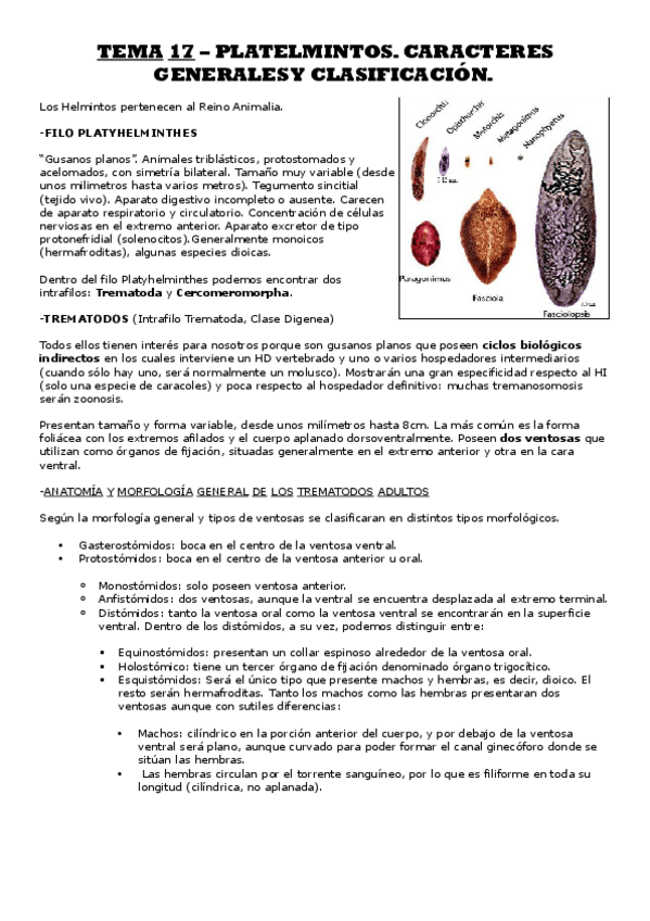 Miniatura del documento TEMA 17 - PARASITOLOGÍA.pdf