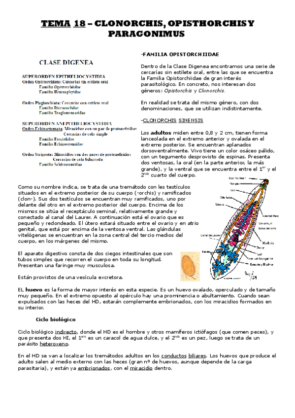 Miniatura del documento TEMA 18 - PARASITOLOGÍA.pdf