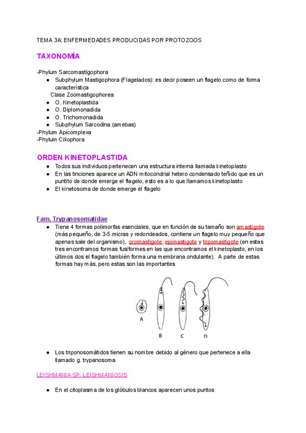 Miniatura del documento TEMA-3A-ENFERMEDADES-PRODUCIDAS-POR-PROTOZOOS.pdf