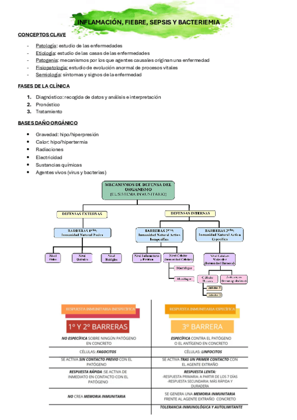 Miniatura del documento BACTERIEMIA-FIEBRE-Y-SEPSIS.pdf