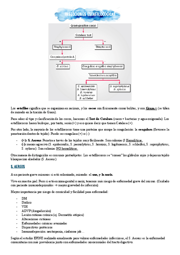 Miniatura del documento INFECCIONES-ESTAFILOCOCICAS.pdf