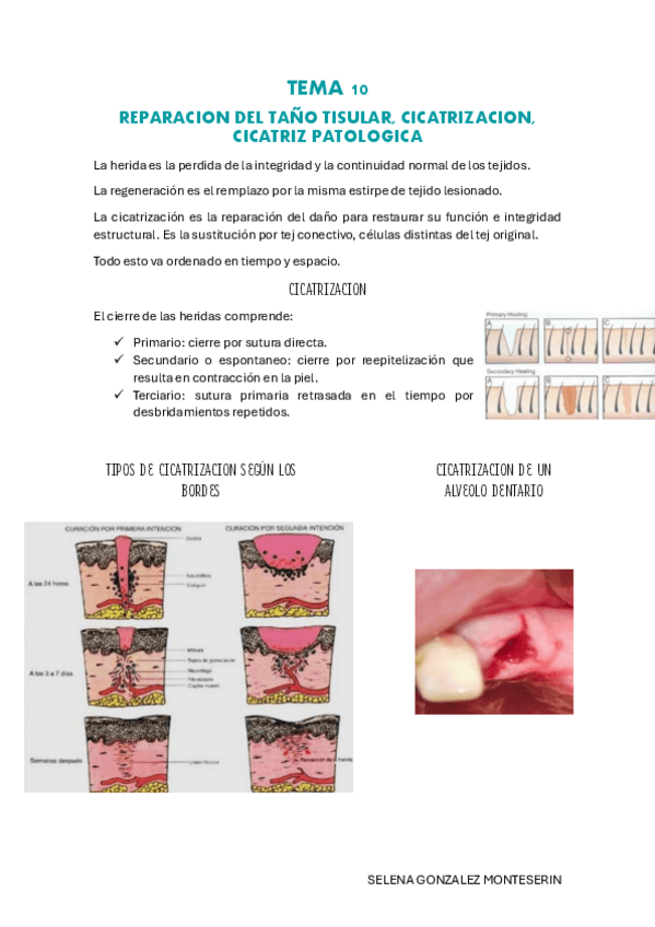 Miniatura del documento TEMA-10-pdf.pdf