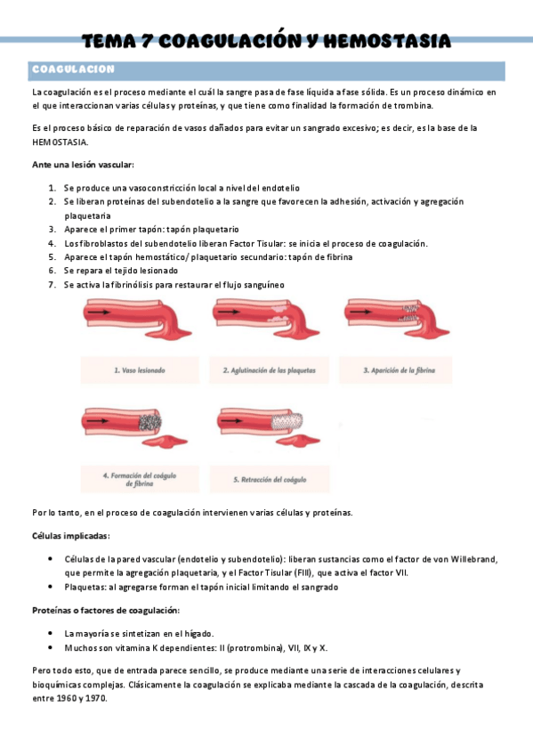 Miniatura del documento PATOLOGIA-QUIRURGICA-GENERAL-T7.pdf