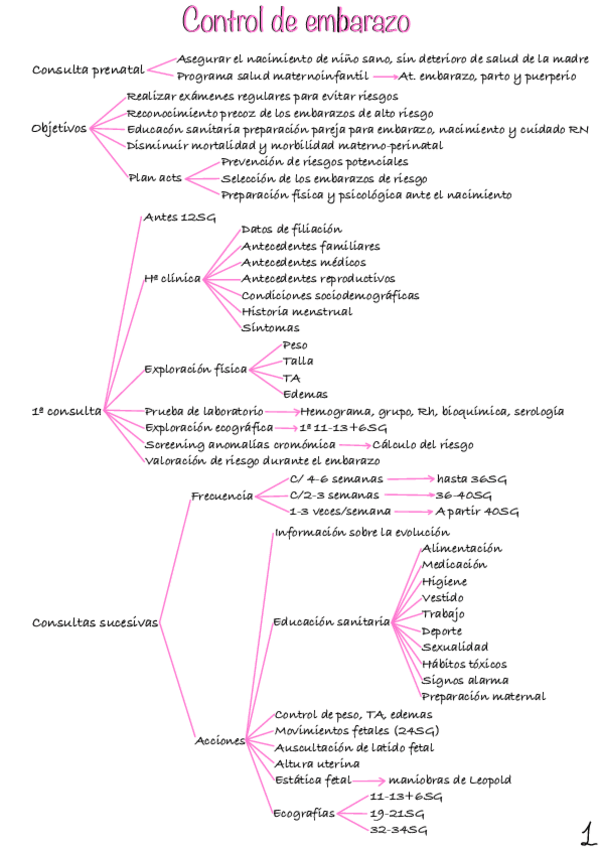 Miniatura del documento Control-De-Embarazo.pdf